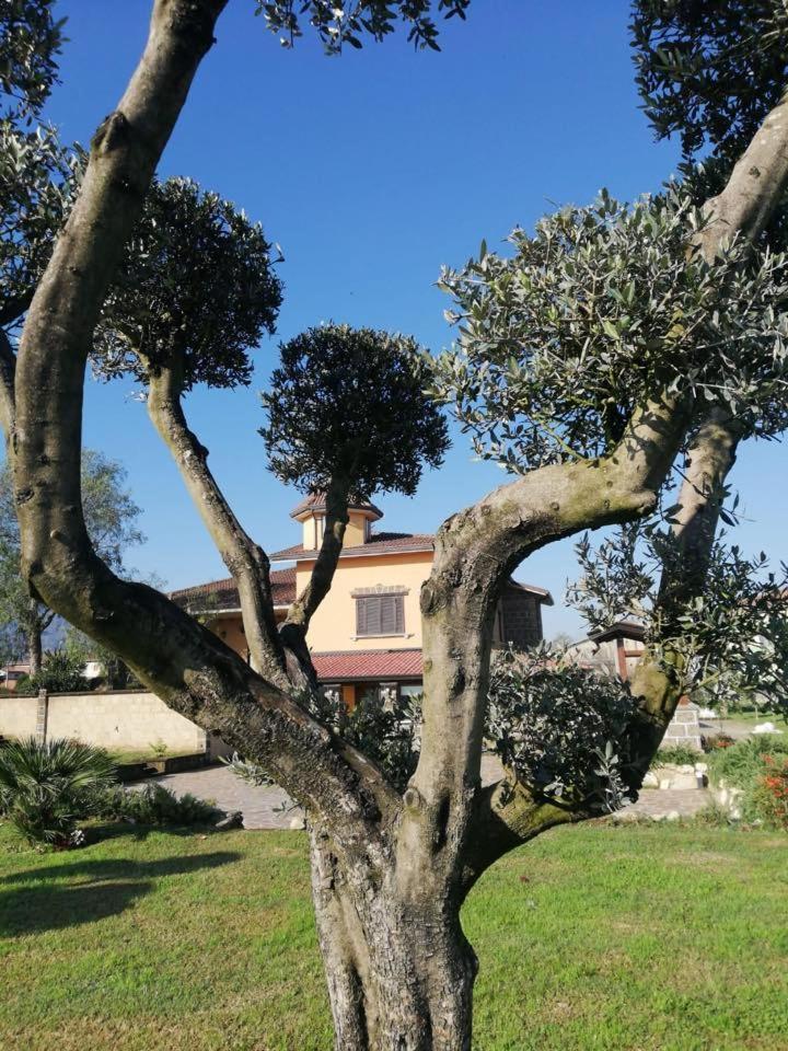 לימטולה Ponte Vestilli B&B מראה חיצוני תמונה
